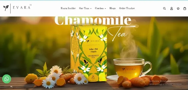 Website Design for Health and Wellness company in ahmedabad Evaralife — Education company profile design